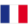 Icône du drapeau français